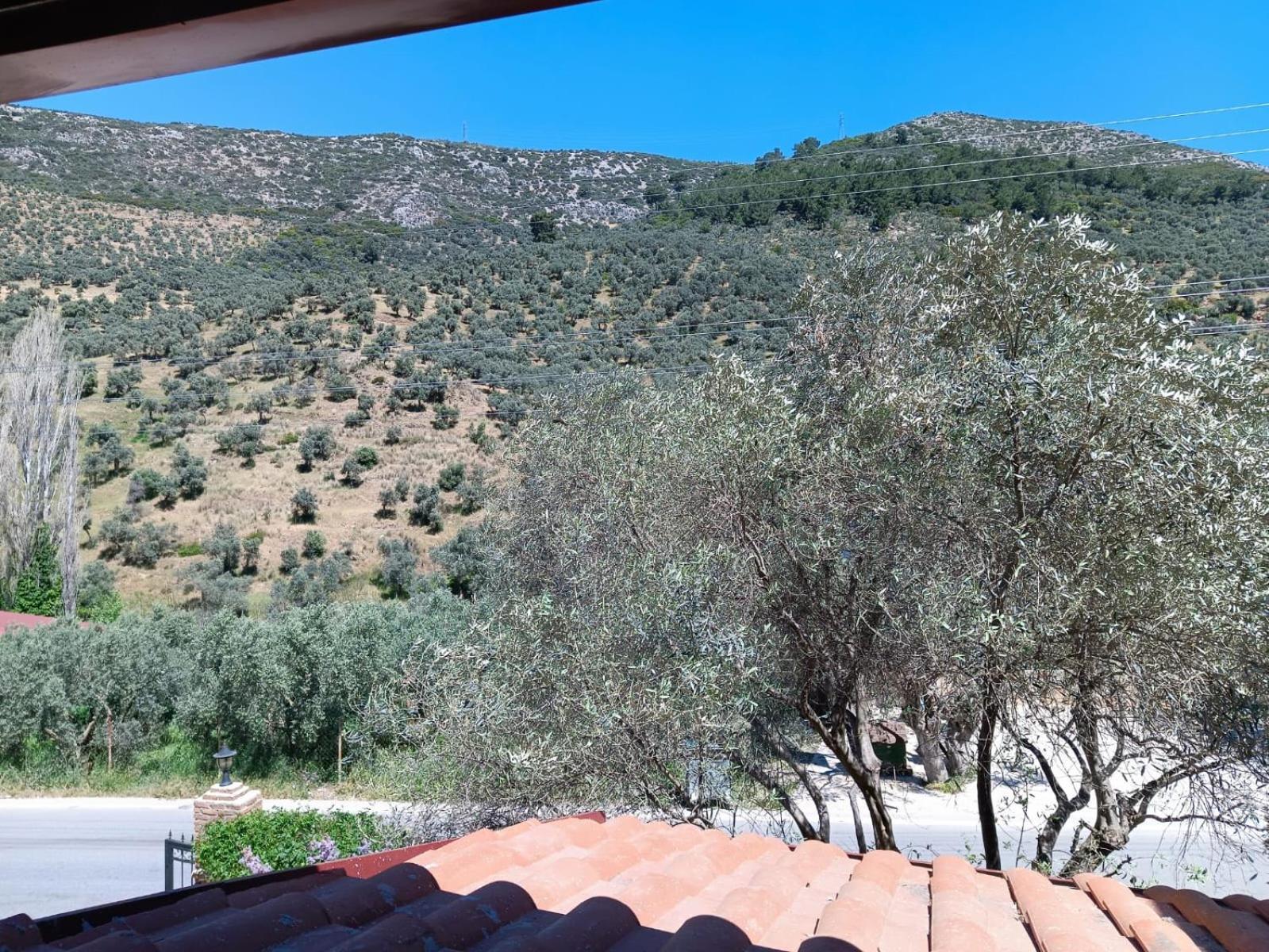 Sirince Klaseas Hotel&Restaurant Selçuk Esterno foto