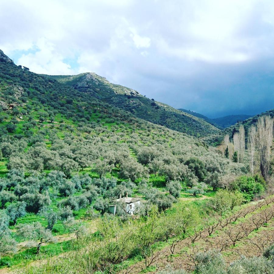 Sirince Klaseas Hotel&Restaurant Selçuk Esterno foto